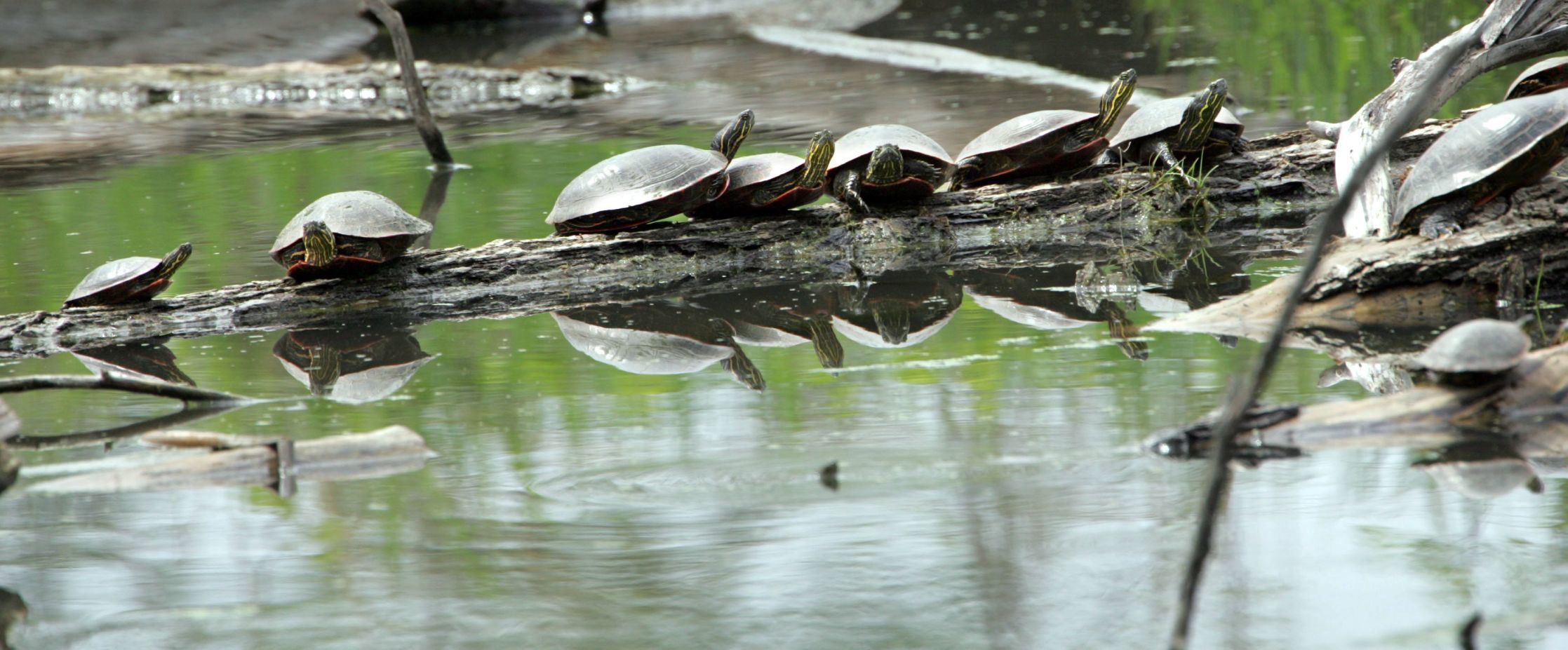 Learn about the magic of nature